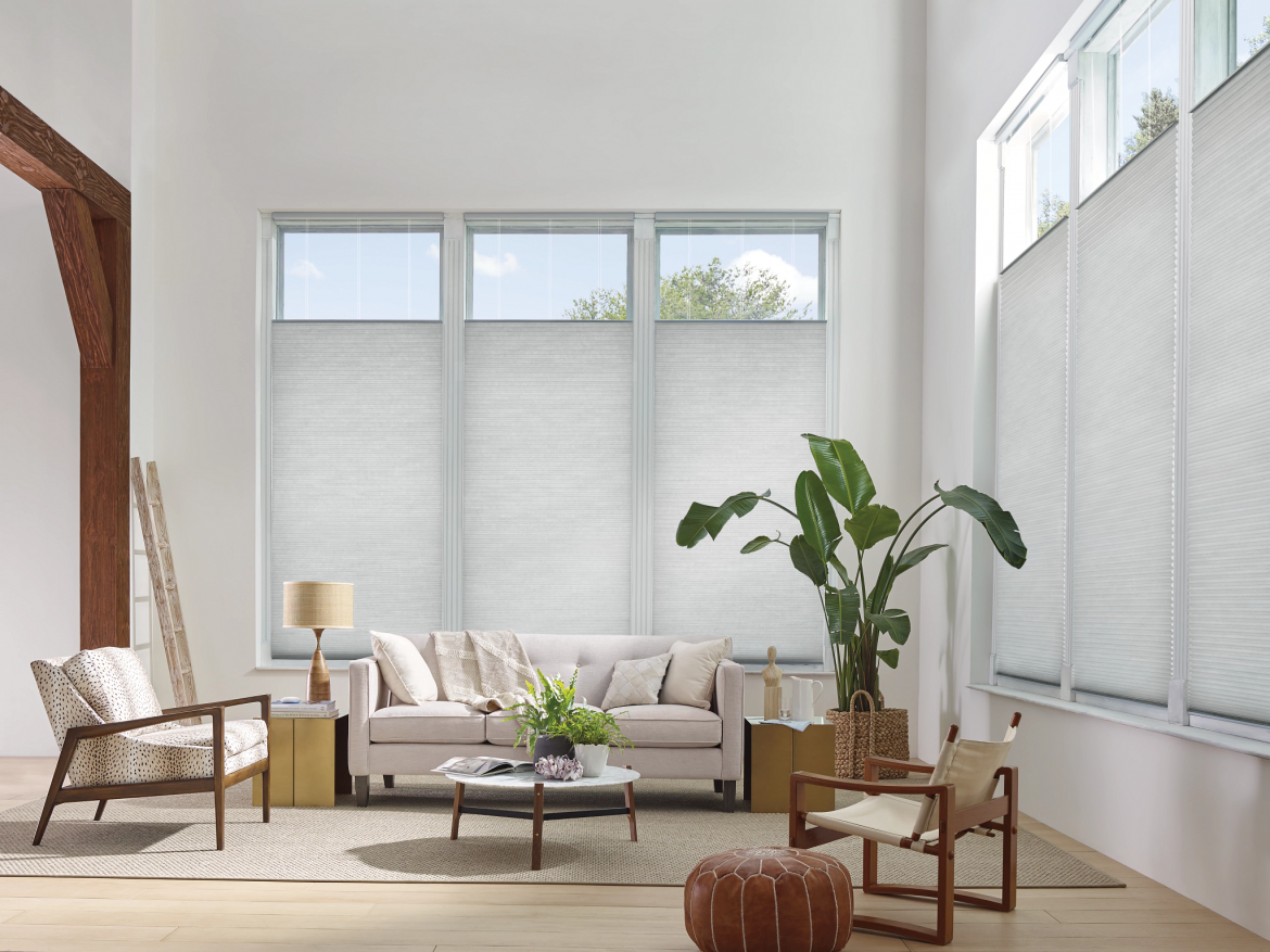 Living room with plant